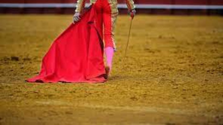 240529103151_bullfights