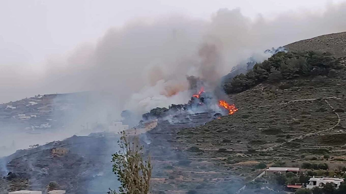 Φωτιά στην Αλίαρτο Βοιωτίας - Εστάλη 112, σηκώθηκαν και εναέρια