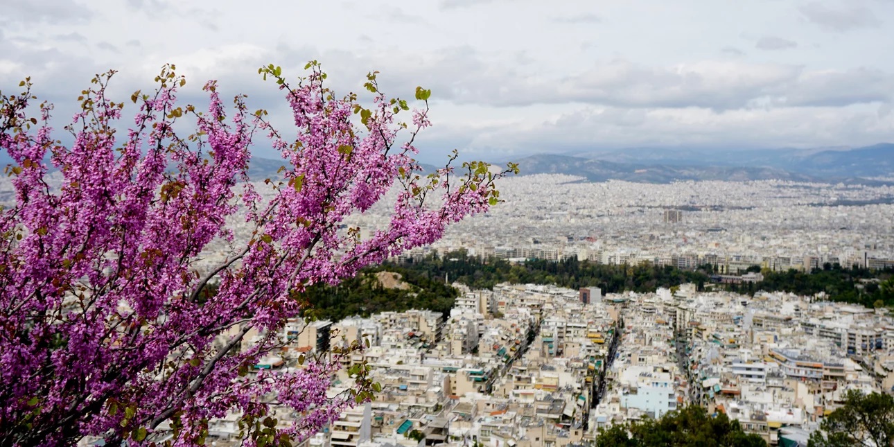 Ακίνητα: Ο τύπος διαμερισμάτων που αγόρασε το 70% των αγοραστών σε Αθήνα και Θεσσαλονίκη