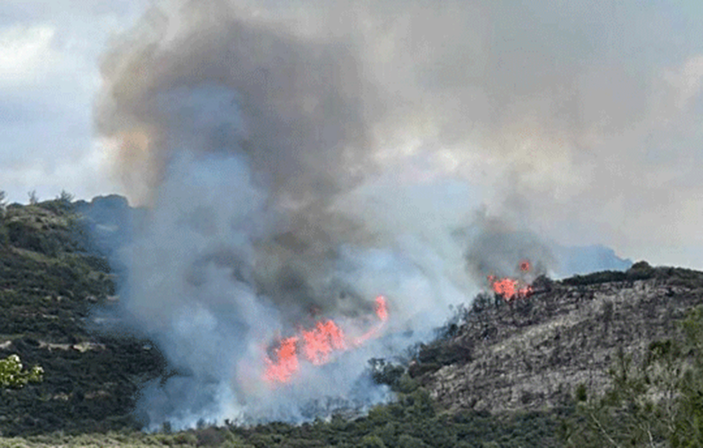 Ανεξέλεγκτη πυρκαγιά στην Πάφο - Εκκενώθηκαν χωριά, Δύο Canadair στέλνει η Ελλάδα