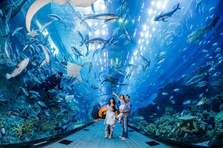 240612065321_Dubai-Aquarium_Tunnel-1024×683