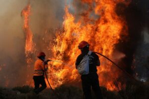 Πύρινα μέτωπα: Η φωτιά πέρασε από την Αχαΐα στην Ηλεία