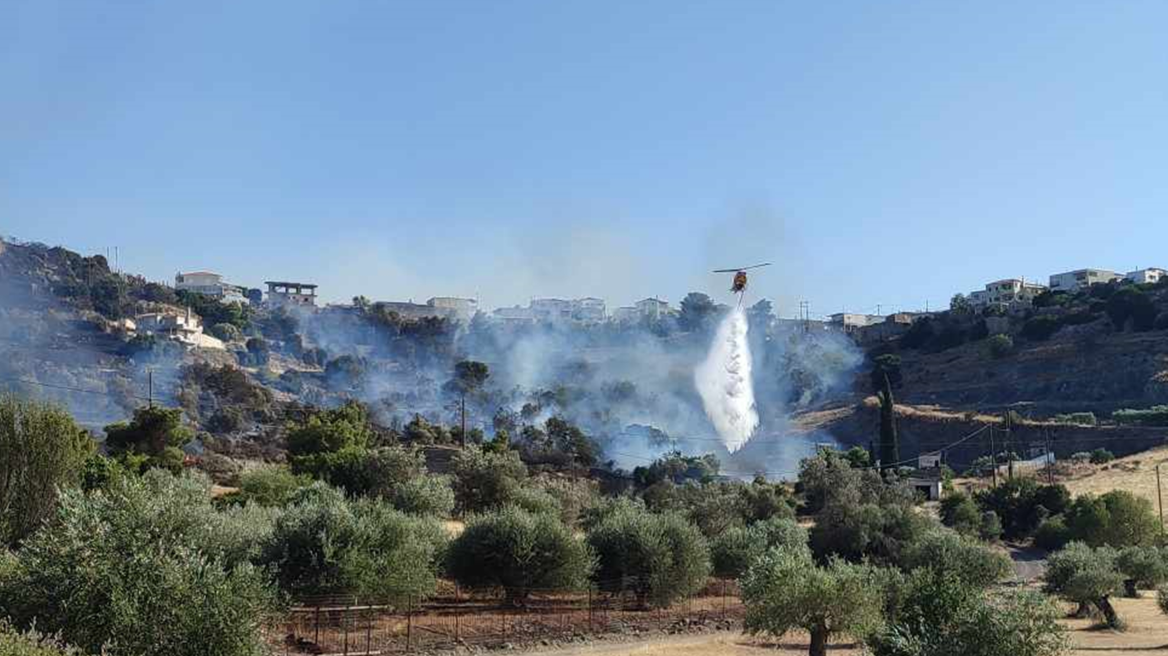 Χωρίς ενεργό μέτωπο η πυρκαγιά στην Ηλεία - Μάχη με τις διάσπαρτες εστίες σε Λάττα και Πρόδρομο