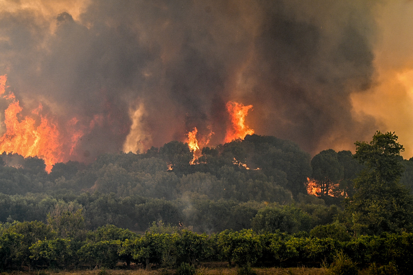 Τέσσερα νέα πύρινα μέτωπα στην χώρα – Μεγάλη φωτιά στην Κορινθία, πυρκαγιά σε κατοικημένη περιοχή στο Ηράκλειο