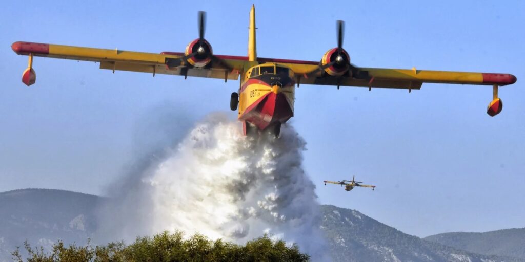Φωτιά σε δασική έκταση στη Φθιώτιδα - Επιχειρούν και έξι εναέρια μέσα