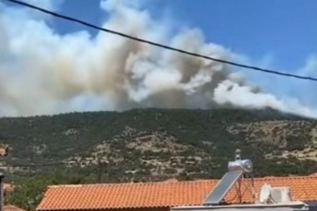 Συνελήφθη 28χρονος για την πυρκαγιά στο Μανταμάδο Λέσβου