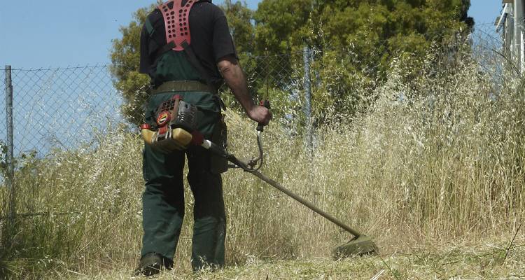 Καθαρισμοί οικοπέδων: Πάνω από 620.000 δηλώσεις υποβλήθηκαν μέχρι χθες στην ειδική πλατφόρμα