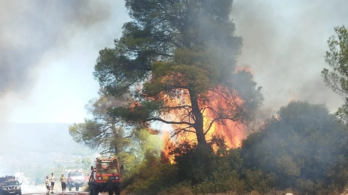 Κορινθία: Φωτιά σε δασική έκταση στο Σοφικό - Σηκώθηκαν εναέρια, εστάλη 112