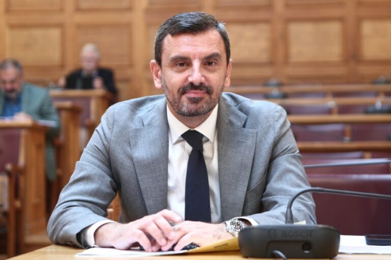 Νικολακόπουλος: Θα αντιμετωπίσουμε την εγκληματικότητα