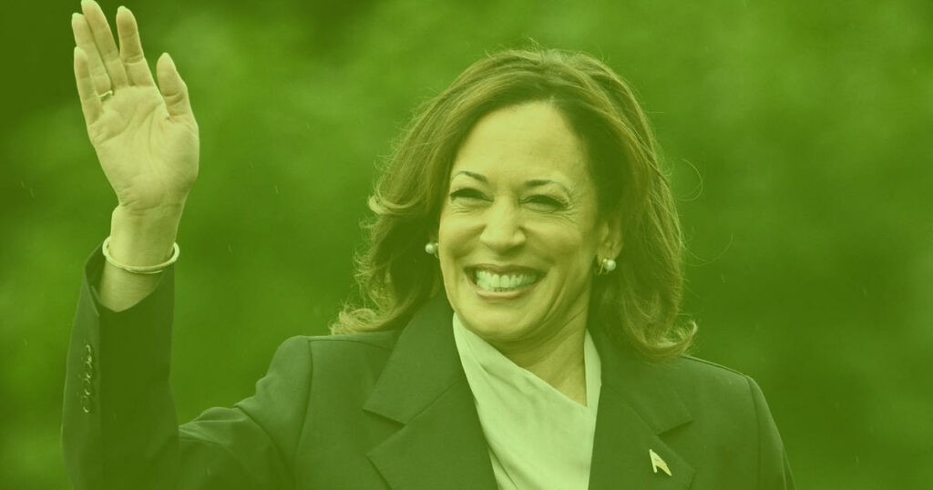 240726081029_0723-ad-kamala-brat