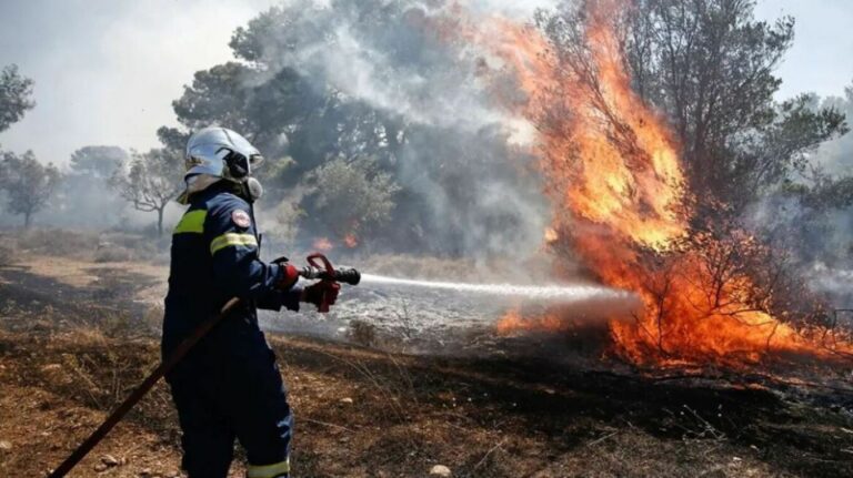 Φωτιά τώρα στα Μέγαρα: Μήνυμα 112 για εκκένωση