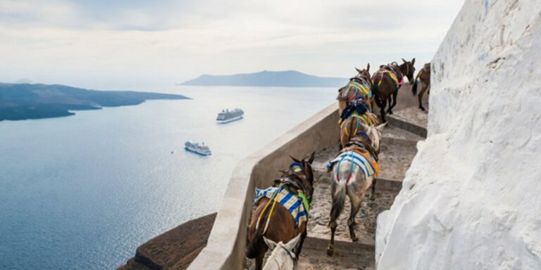 240801100709_santorini-gaidourakia-708_0