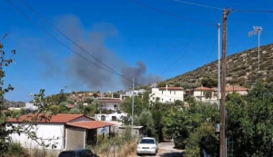Κορωπί: Φωτιά στην Αγία Μαρίνα κοντά σε κατοικημένη περιοχή - Εστάλη 112 για εκκένωση