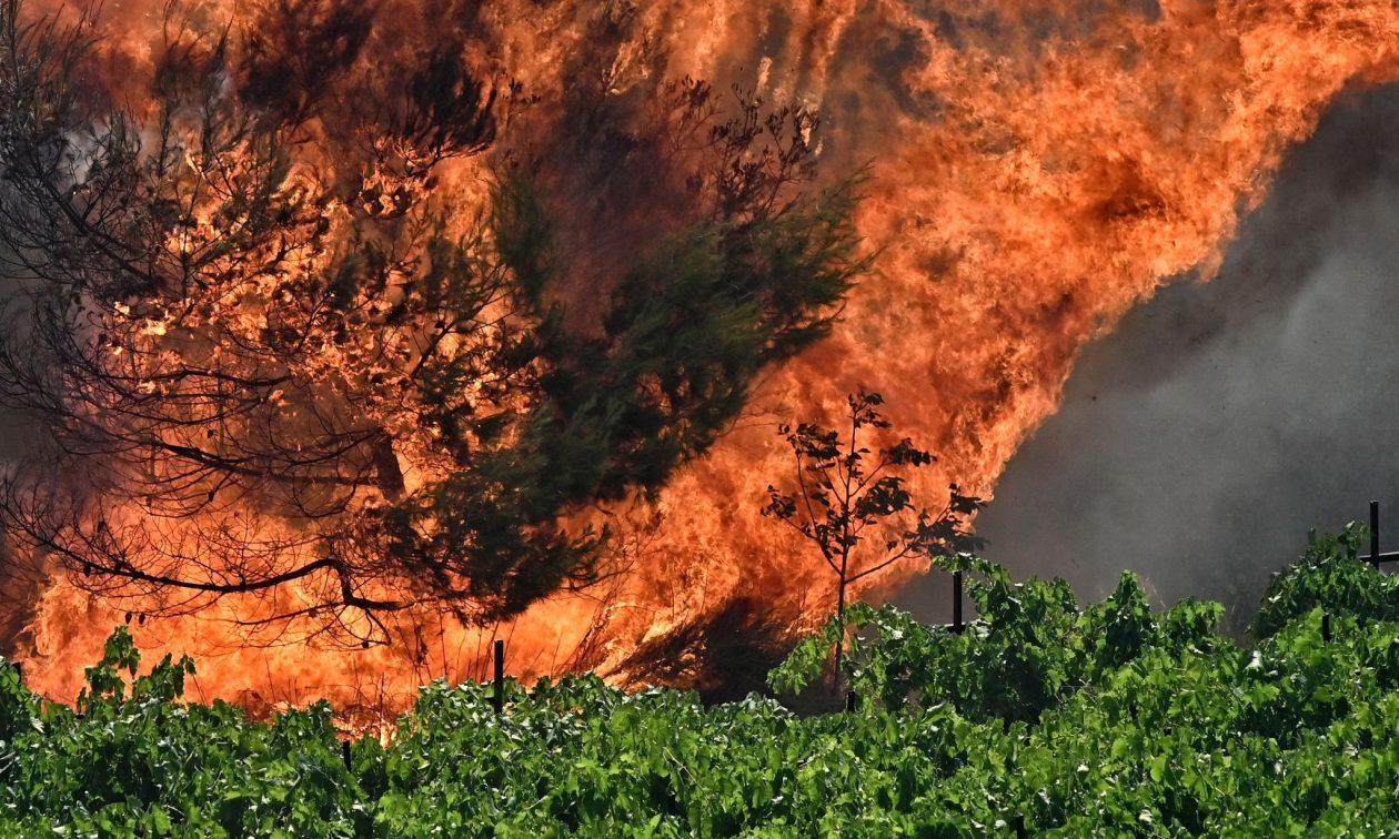 Φωτιά τώρα σε Ξάνθη και Καρδίτσα - Συναγερμός στην Πυροσβεστική