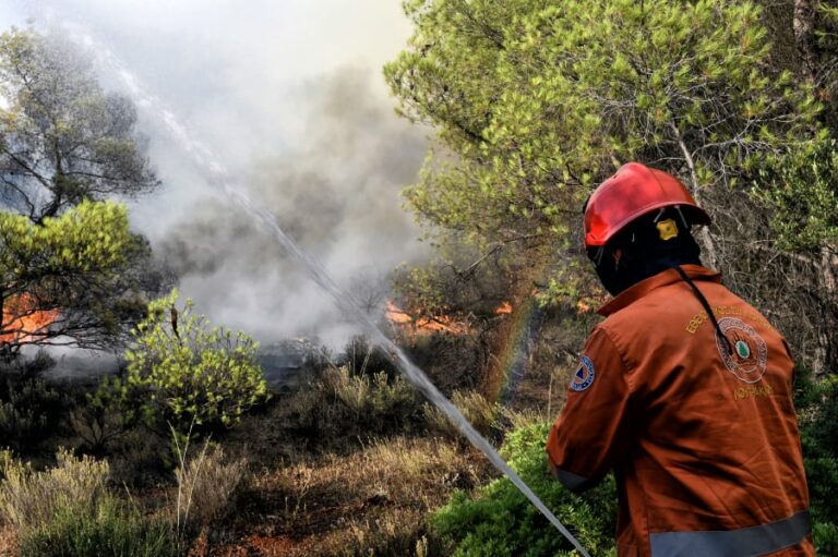 Φωτιά τώρα στον Διόνυσο Ορχομενού