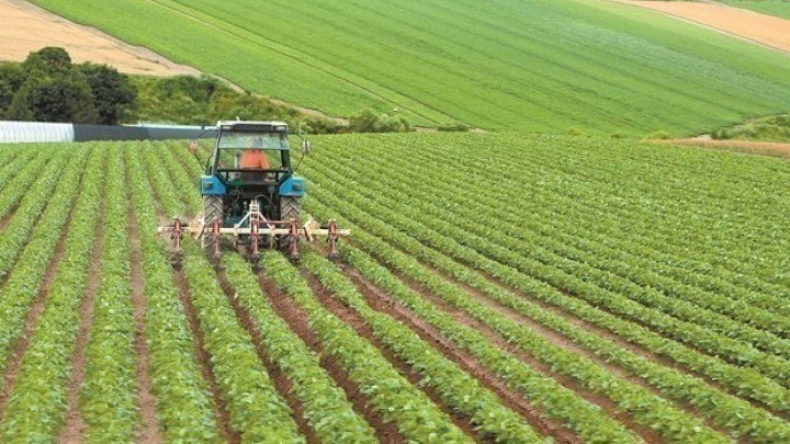 Μελέτη της Greenpeace: Στην Ελλάδα χάθηκε το 31% των αγροκτημάτων - Αγροτικά δάνεια - Έλεγχοι