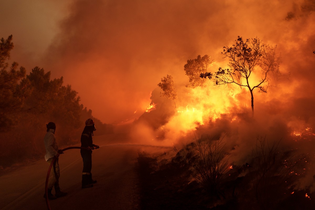 2023; Alexandroupoli; Dikella; Evros; Greece; burnt; summer wildfire; wildfire; Έβρος; Αλεξανδρούπολη; Δίκελλα; καλοκαιρινές πυρκαγιές; καμένα; πυρκαγιά; φωτιά;