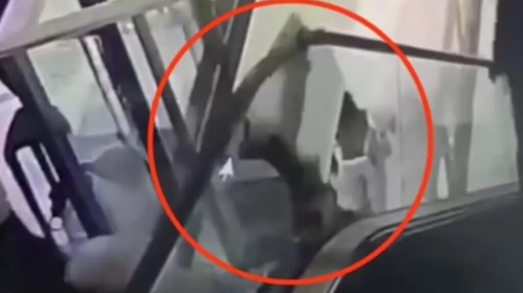 Κίνα: Γλίστρησε στις κυλιόμενες σκάλες εμπορικού κέντρου και έπεσε στο κενό