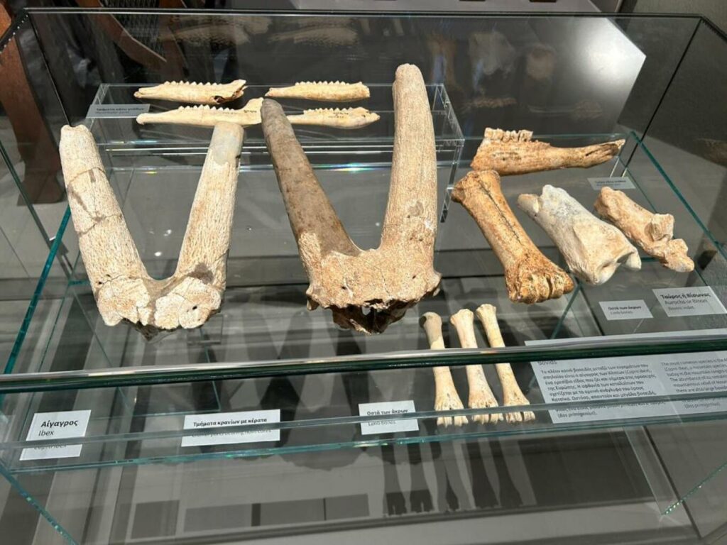 Χαλκιδική: Αποκαταστάθηκαν πλήρως το Σπήλαιο και το Μουσείο Πετραλώνων που μαρτυρούν τα μυστικά της Παλαιολιθικής Εποχής