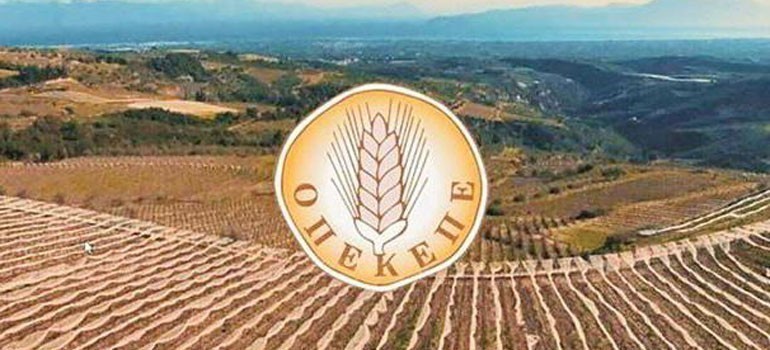 «Ομερτά» στον ΟΠΕΚΕΠΕ - Έβγαζαν «λάδι» τους επίορκους ελεγκτές - Οι καταγγελίες που «καίνε»