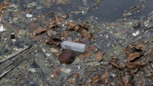 ΕΕ: Τα επιφανειακά ύδατα στην Ευρώπη βρίσκονται σε «κρίσιμη» υγειονομική κατάσταση