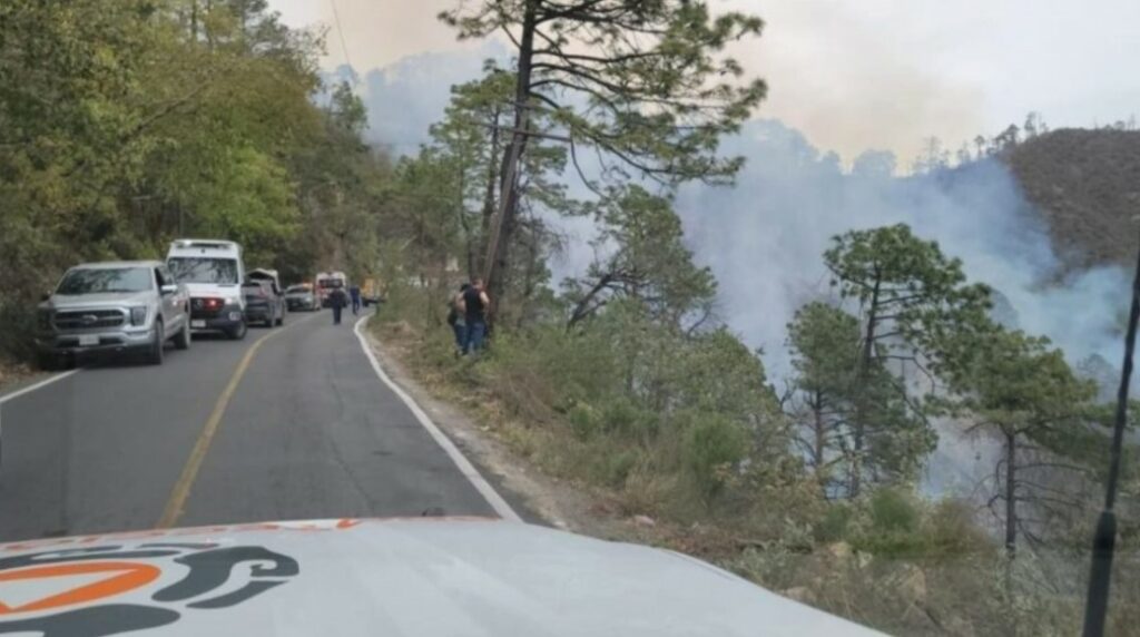 Τροχαίο δυστύχημα στο Μεξικό: 12 νεκροί και 4 τραυματίες από πτώση οχήματος σε χαράδρα