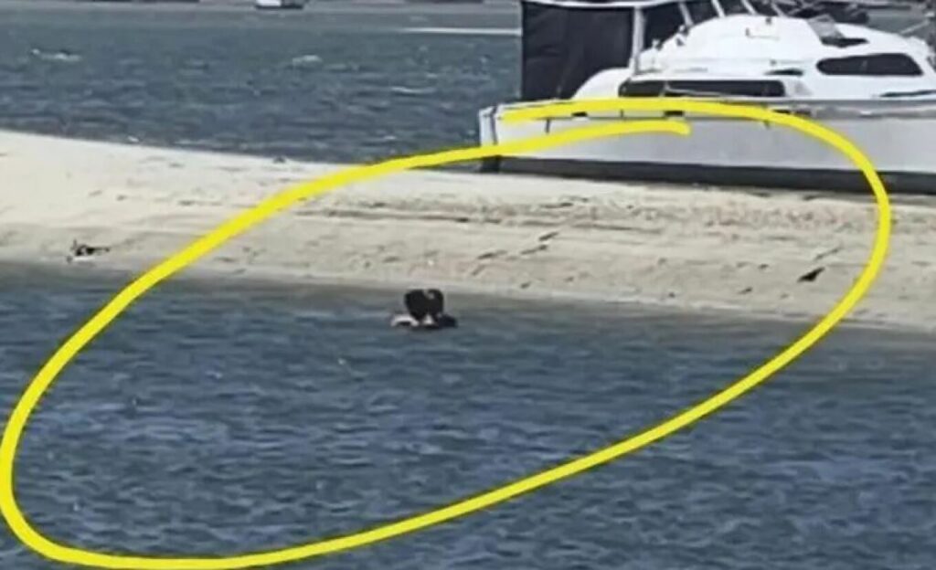 Όχι μόνο έκαναν σεξ σε λίμνη, αλλά ζήτησαν και... αμοιβή από τους μάρτυρες!