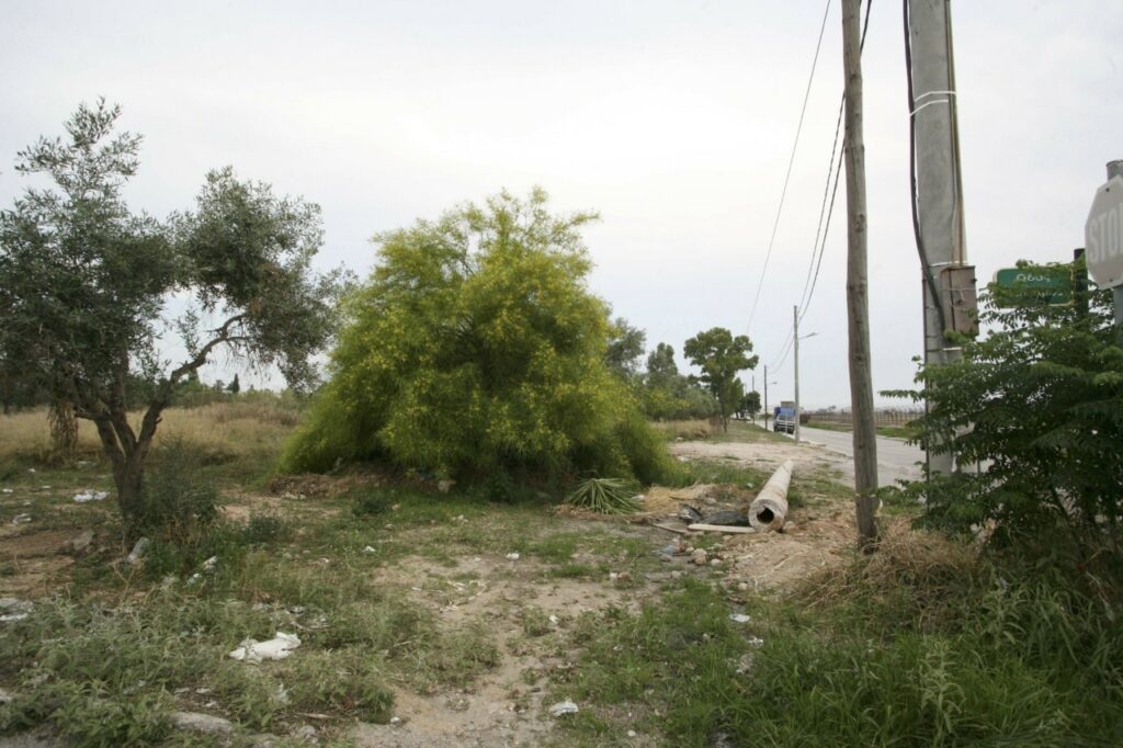 Οικόπεδα: Τρέχουν να δηλώσουν καθαρισμούς – 82.000 αιτήσεις σε 10 μέρες