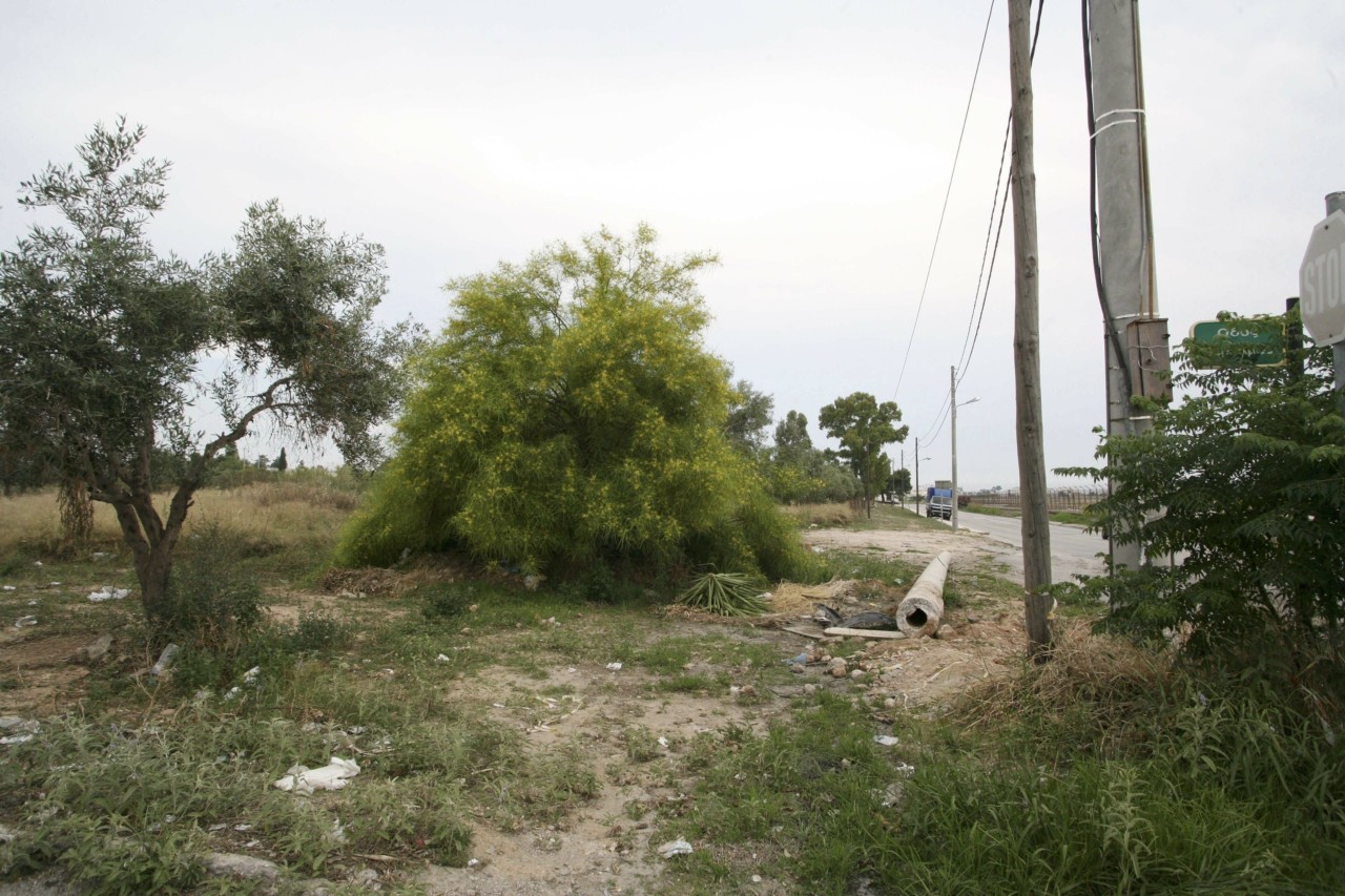Οικόπεδα: Τρέχουν να δηλώσουν καθαρισμούς – 82.000 αιτήσεις σε 10 μέρες