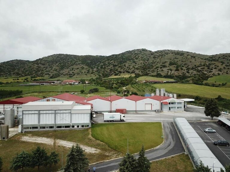 Η ΟΠΤΙΜΑ ΑΕ κατακτά την αγορά τυριών με 13,7% μερίδιο σε αξία