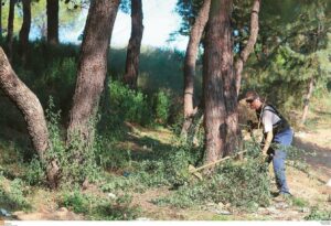 Ακαθάριστα οικόπεδα: Ποια είναι η καταληκτική ημερομηνία και πότε αρχίζουν τα πρόστιμα