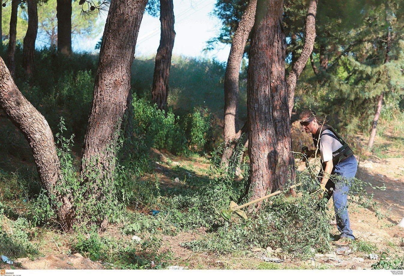 Ακαθάριστα οικόπεδα: Ποια είναι η καταληκτική ημερομηνία και πότε αρχίζουν τα πρόστιμα