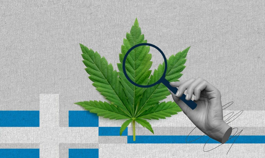 Τα …ματιάσαμε τα αγόρια και πήγαν άπατα: Τζίφος η δουλειά με την κάνναβη, τα συνεταιράκια τα έσπασαν και χώρισαν παρά τις άοκνες προσπάθειες του Φυτευτού Νο2, της κυβέρνησης!