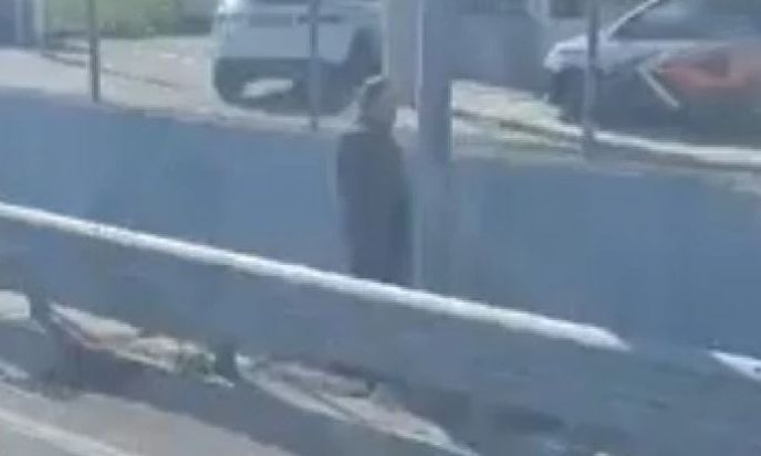 Όσο και αν δεν το πιστεύετε, το βίντεο που αναρτήθηκε στο Threads, το αποδεικνύει