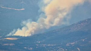 Σε εξέλιξη φωτιά στη Ριτσώνα: Επιχειρούν και εναέρια μέσα