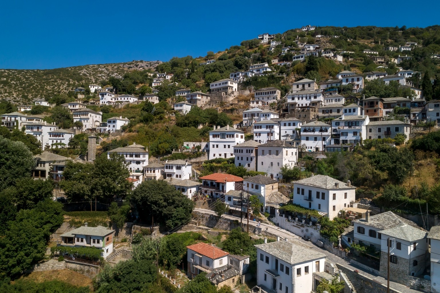 Διαβάστε ακόμη: • Ποιοι θέλουν να διώξουν τον Ιβάν Σαββίδη από το Λιμάνι της Θεσσαλονίκης; • Η Κάιλι Τζένερ φόρεσε το ιστορικό μαγιό της Κλόντια Σίφερ 30 χρόνια μετά • Φωνητική εξέταση για την Κατάθλιψή, την Άνοια και το Alzheimer σε 5 λεπτά • Final Four 2025: Πότε παίζουν Ολυμπιακός και Παναθηναϊκός – Το αναλυτικό πρόγραμμα