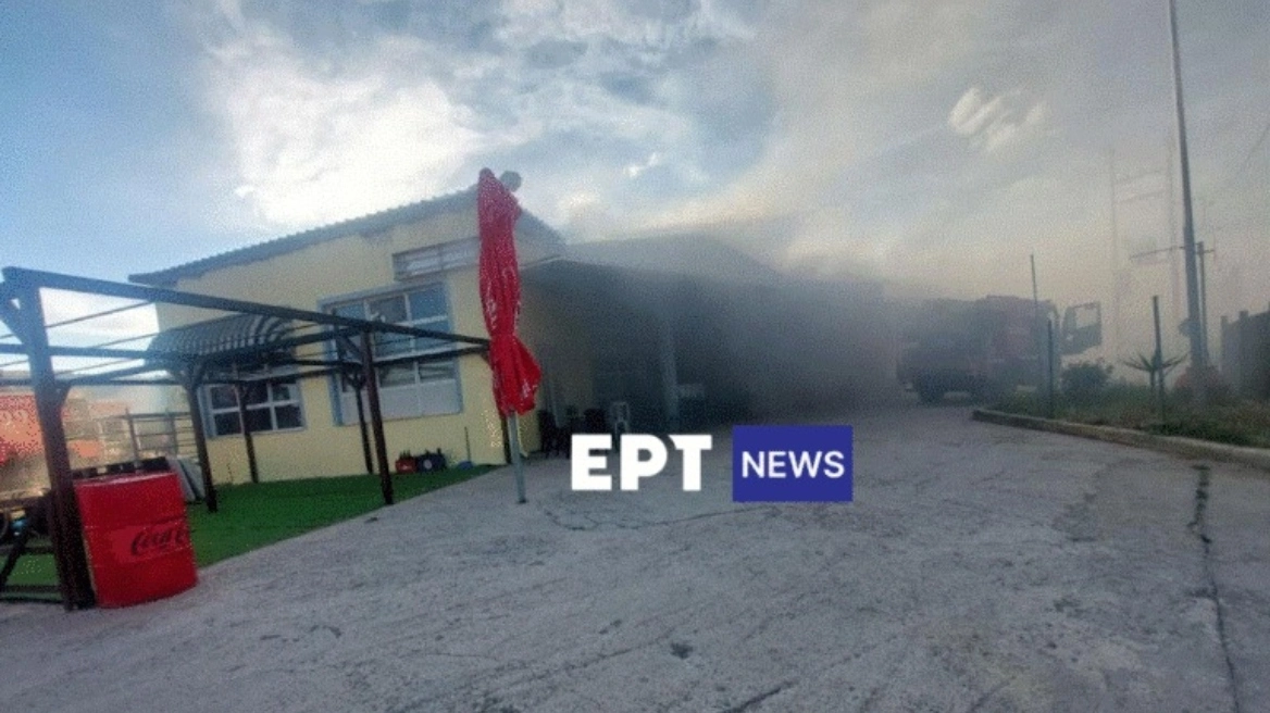 λεσβος