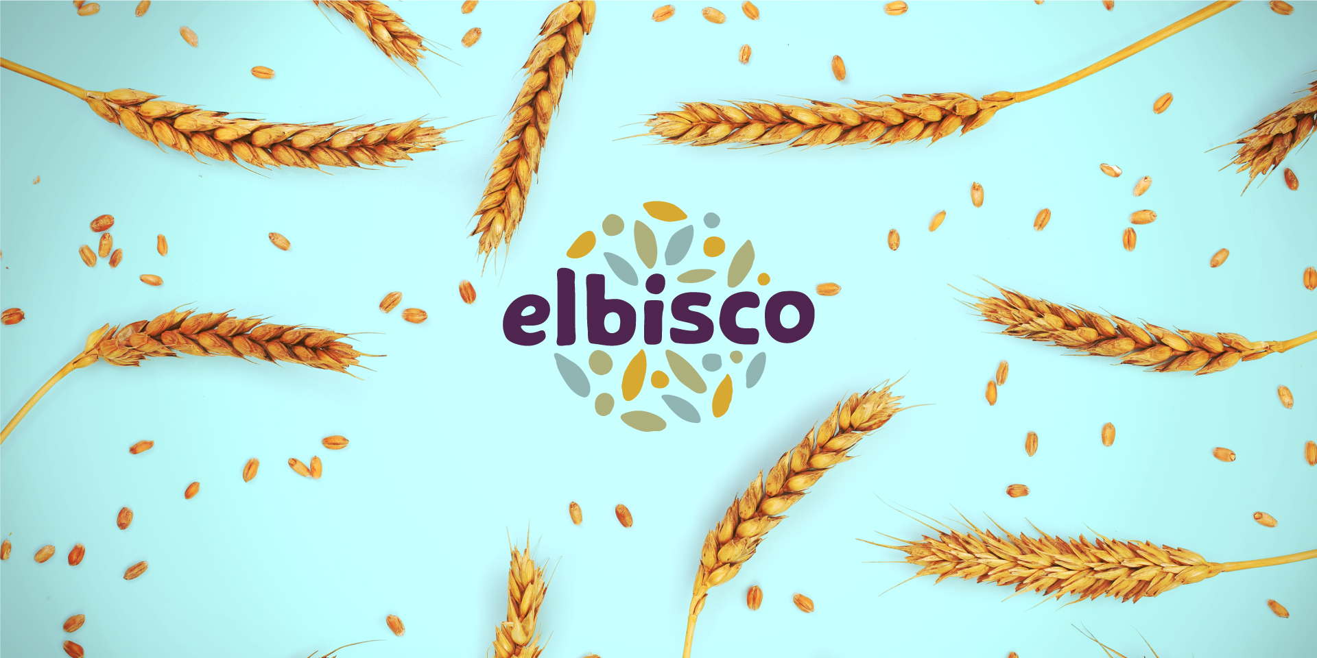 Elbisco: Αίτηση για λύση και εκκαθάριση στο Πρωτοδικείο Αθηνών