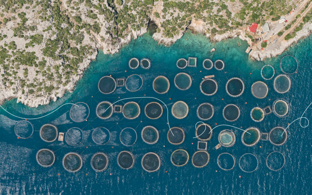 Μυστήρια πράγματα συμβαίνουν με τις ιχθυοκαλλιέργειες και τις «κολεγιές»