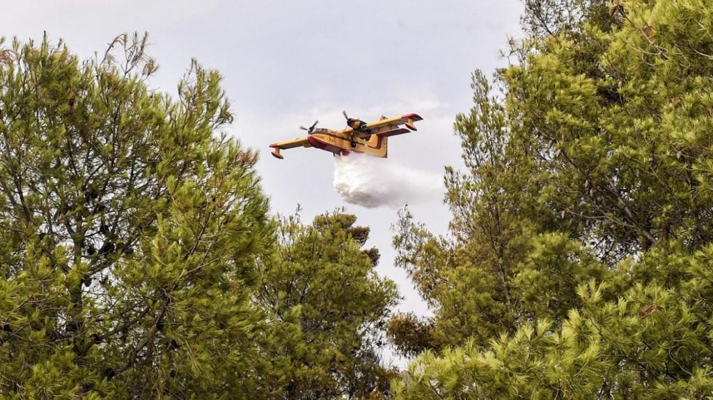 Φωτιά τώρα στα Άβδηρα Ξάνθης - Επιχειρούν 3 αεροσκάφη