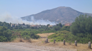 Εκκενώνονται Ανάβυσσος και Παλαιά Φώκαια - Φωτιά καίει κοντά σε σπίτια