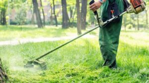 Ακαθάριστα οικόπεδα: Λήγει η προθεσμία - Τα πρόστιμα που προβλέπονται
