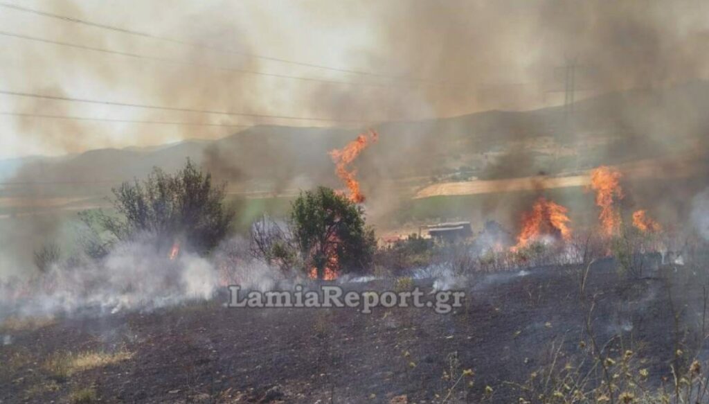 Δομοκός: Φωτιά τώρα σε αγροτική έκταση - Σηκώθηκαν δύο αεροσκάφη