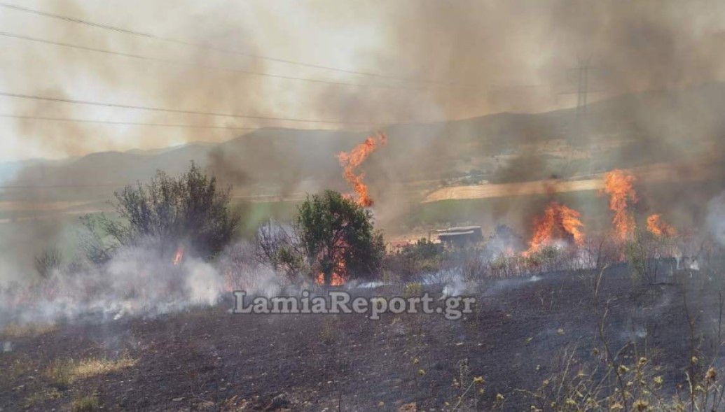 Δομοκός: Φωτιά τώρα σε αγροτική έκταση - Σηκώθηκαν δύο αεροσκάφη