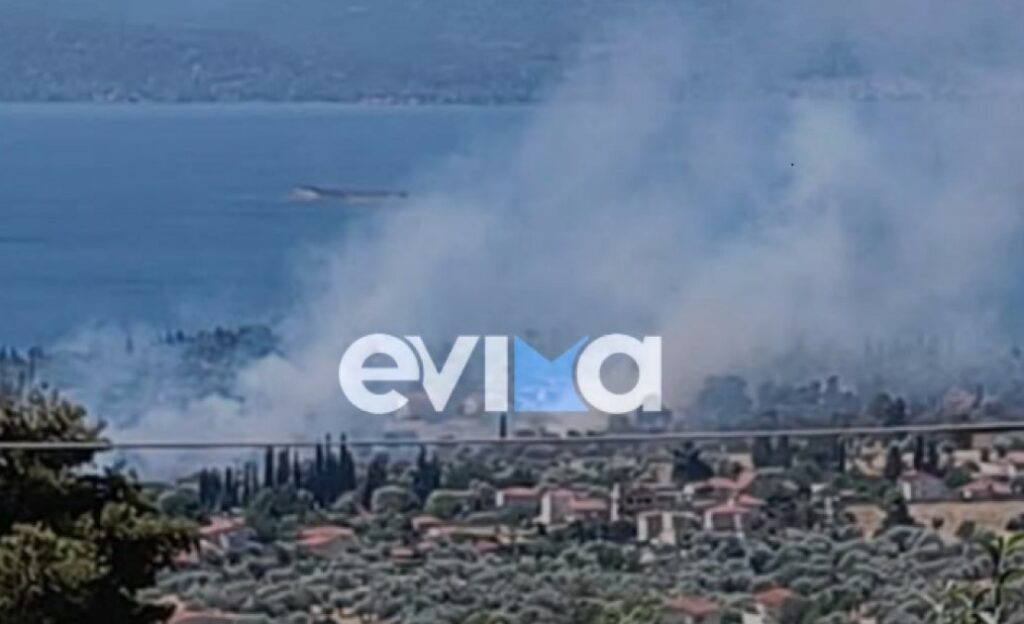 Φωτιά στην Ερέτρια: Καίει κοντά σε σπίτια - Εστάλη μήνυμα 112 προς τους κατοίκους
