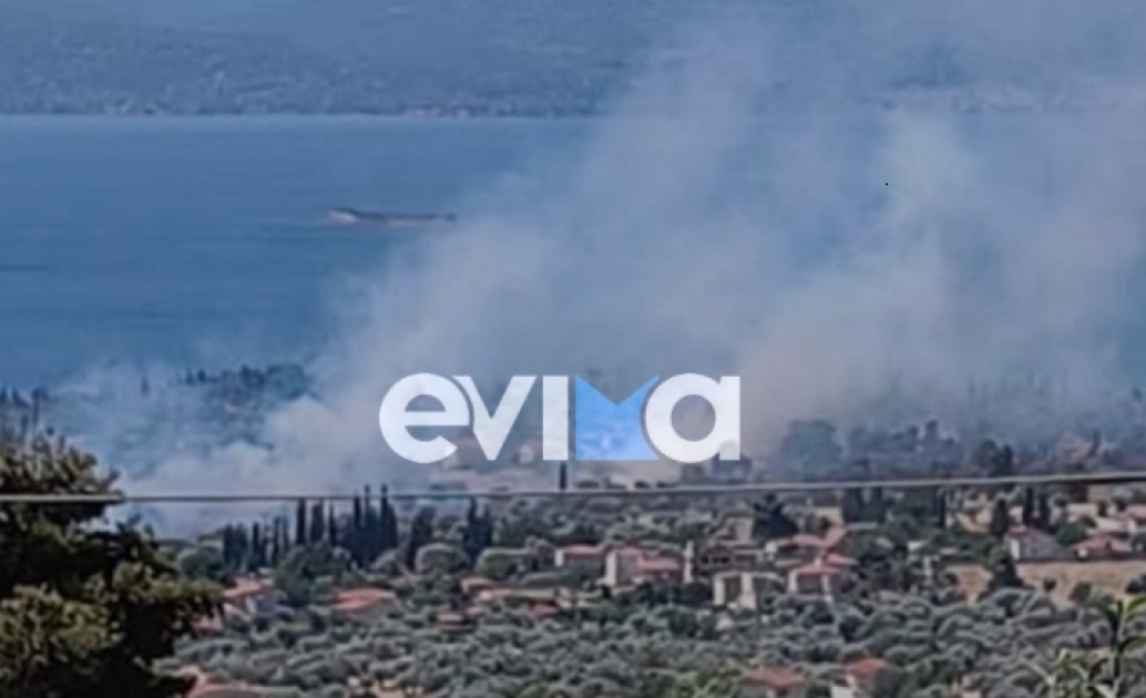 Φωτιά στην Ερέτρια: Καίει κοντά σε σπίτια - Εστάλη μήνυμα 112 προς τους κατοίκους