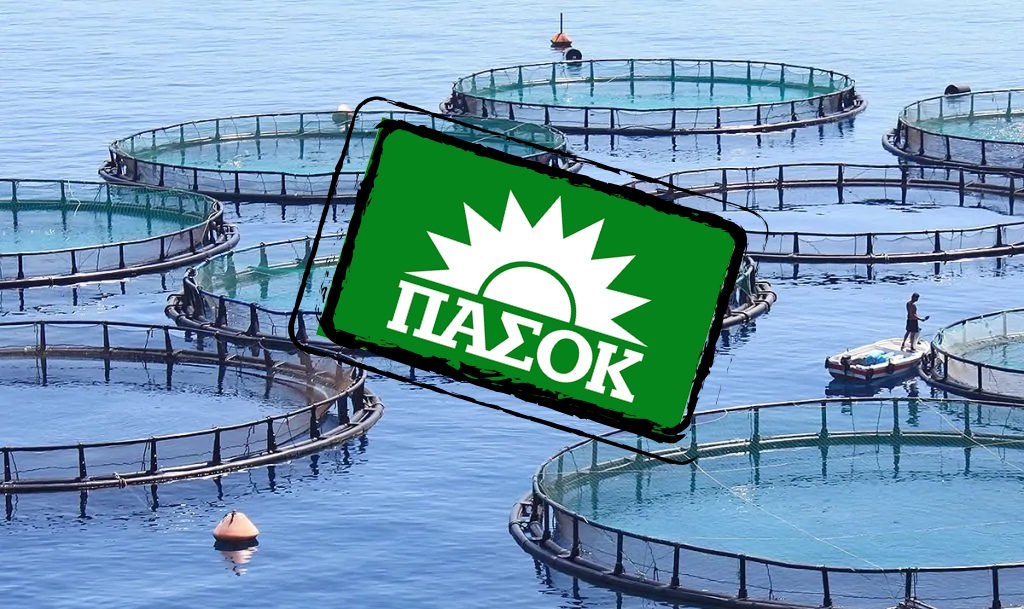Κατακραυγή στο ΠΑΣΟΚ για τις Υδατοκαλλιέργιες, πονοκέφαλος για Ανδρουλάκη - Η κρυφή ΚΥΑ που υπεγράφη εν αγνοία του Παπανδρέου το 2011και… «τάισε» τις τσιπούρες του Ιχθυοτροφείου Γερουλάνου