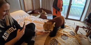 Αντιδράσεις στην Κίνα για ξενοδοχείο που χρησιμοποιούσε κόκκινα πάντα ως «ξυπνητήρια»