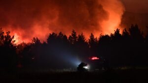 Συνελήφθη 72χρονος μελισσοκόμος για εμπρησμό από αμέλεια για την πυρκαγιά στον Ωρωπό