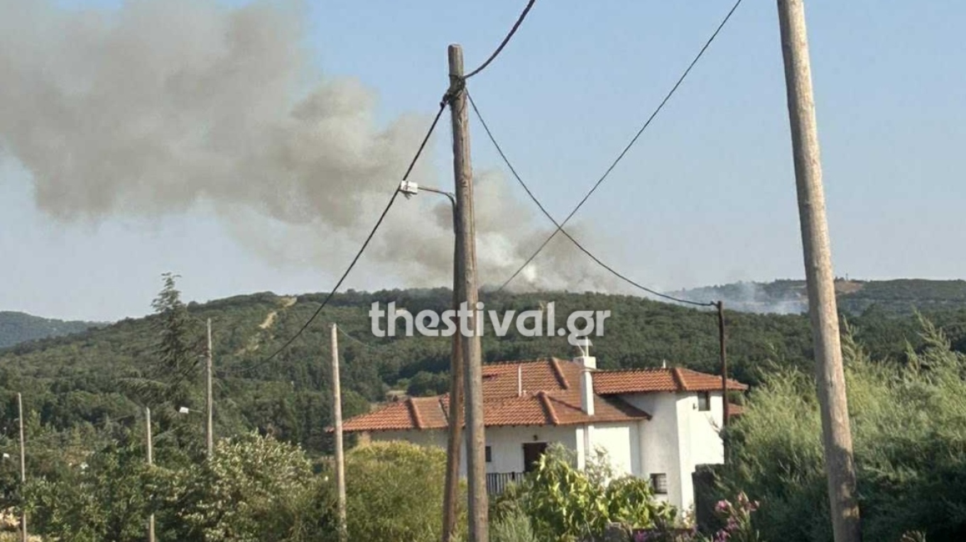 Θεσσαλονίκη: Φωτιά σε δασική περιοχή του Φιλύρου - Προειδοποίηση του 112 στους κατοίκους για ετοιμότητα